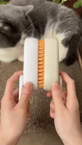 Cepillo para Mascotas a Vapor Recargable!!! Viral en TikTok