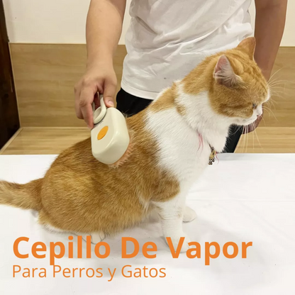 Cepillo para Mascotas a Vapor Recargable!!! Viral en TikTok
